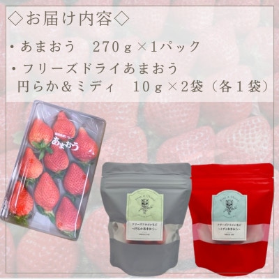 あまおう食べ比べセット【生いちご＆フリーズドライ】(水巻町)【配送不可地域：離島】