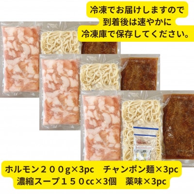 【黒毛和牛小腸】博多もつ鍋セット(濃縮テールスープ・チャンポン麺・薬味付)5～6人前【配送不可地域：離島】