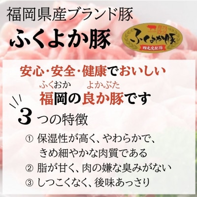 福岡県産ふくよか豚詰合せセットB【配送不可地域：離島】