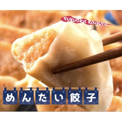 黒豚入りめんたい餃子　50個入り【配送不可地域：離島】