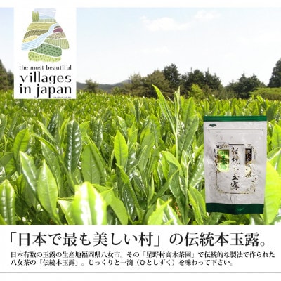 奥八女星野村　伝統本玉露[50g]×1袋(水巻町)