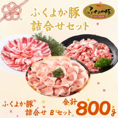 福岡県産ふくよか豚詰合せセットB【配送不可地域：離島】