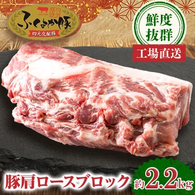 工場直送・鮮度抜群・ダイナミック【ふくよか豚】豚肩ロースブロック 約2.2kg【配送不可地域：離島】