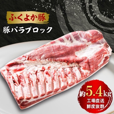 工場直送・鮮度抜群・ダイナミック【ふくよか豚】豚バラブロック 約5.4kg【配送不可地域：離島】