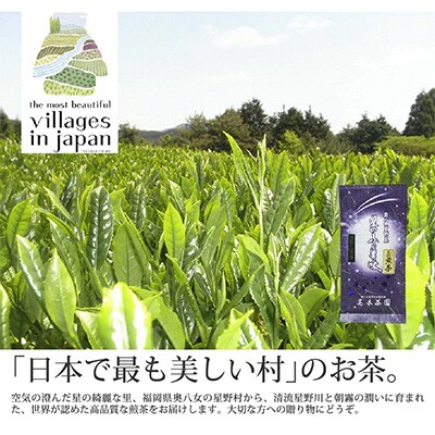 【毎月定期便】奥八女星野村 深蒸し高級煎茶(深蒸し茶)100g×1袋(水巻町)全6回