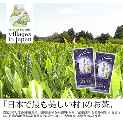 【毎月定期便】奥八女星野村 深蒸し高級煎茶(深蒸し茶)100g×2袋(水巻町)全6回