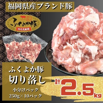 ふくよか豚切り落し2.5kg(250g×10パック)【配送不可地域：離島】