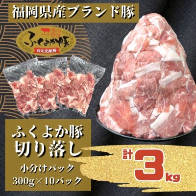 ふくよか豚切り落とし3.0kg(300g×10パック)【配送不可地域：離島】