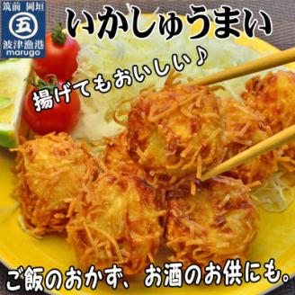 いかしゅうまい30個　ツヤツヤぷるるんっ。(岡垣町)【配送不可地域：離島】