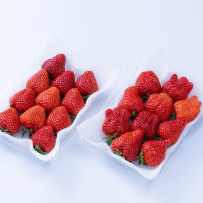 【2026年発送先行受付】福岡産【春】あまおういちご約250g×4パック(岡垣町)【配送不可地域：離島】