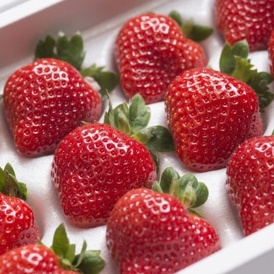 【11月下旬より順次発送】福岡産あまおうギフト(24-30粒)(岡垣町)【配送不可地域：離島】