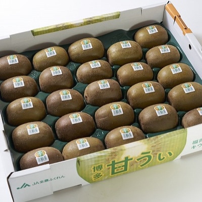 福岡産ブランドキウイ・甘うぃ24-33玉箱(約3kg)(岡垣町)【配送不可地域：離島】