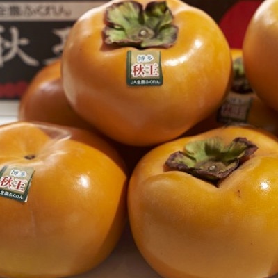 福岡産ブランド柿・秋王4-6玉(約1.5kg)(岡垣町)【配送不可地域：離島】