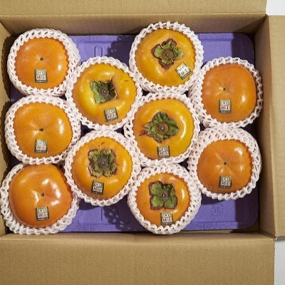 福岡産ブランド柿・秋王8-12玉(約3kg)(岡垣町)【配送不可地域：離島】