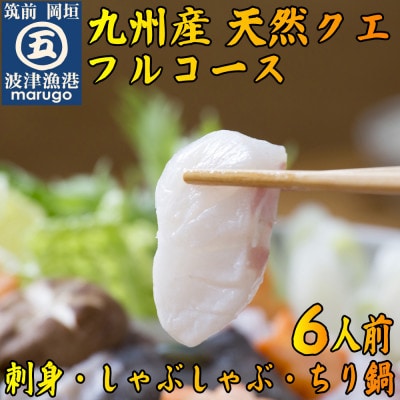 九州の高級魚　天然あら(クエ)フルコース6人前 刺身、しゃぶしゃぶ、ちり鍋。〆は米粉麺(岡垣町)【配送不可地域：離島】