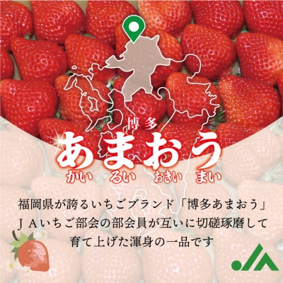 福岡県産冷凍あまおう4kg(800g×5袋)(岡垣町)【配送不可地域：離島】