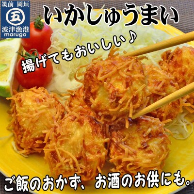 いかしゅうまい(15個)ツヤツヤぷるるんっ。(岡垣町)【配送不可地域：離島】