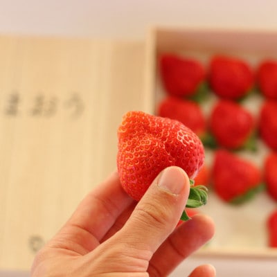 福岡県産【2024年12月下旬より順次発送予定】特選あまおう 12玉(岡垣町)【配送不可地域：離島】