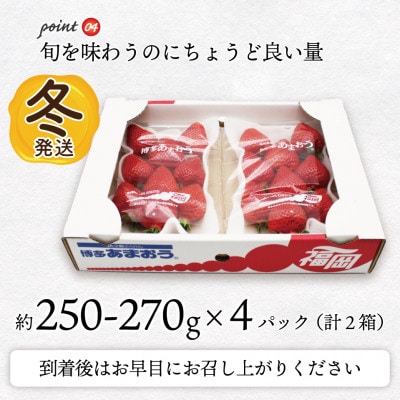 【2025年12月～2026年1月発送】博多あまおう(冬)(250g-270g)×4パック(岡垣町)【配送不可地域：離島・北海道・沖縄県】