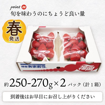 【2026年2月上旬～4月下旬発送予定】博多あまおう(春)(250g-270g)×2パック(岡垣町)【配送不可地域：離島・北海道・沖縄県】