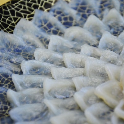 【毎月定期便】とらふぐ刺身　菊盛り一尺大皿　ふぐ皮湯引き付　4人前全6回【配送不可地域：離島】