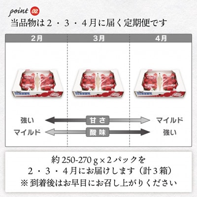 【発送月固定定期便】博多あまおう(250g-270g)×2P (岡垣町)全3回【配送不可地域：離島・北海道・沖縄県】