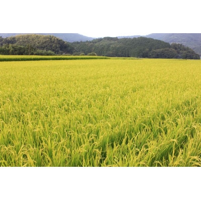 【毎月定期便】【食味鑑定士厳選】福岡県産 夢つくし10kg(5kg×2袋)(岡垣町)全3回