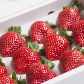 【11月下旬より順次発送】福岡産あまおうギフト(24-30粒)(岡垣町)【配送不可地域：離島】