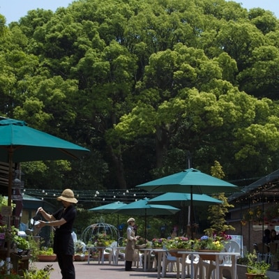 ぶどうの樹 杜の七種ペア宿泊券(一泊朝食付プラン)日曜日～木曜日利用限定