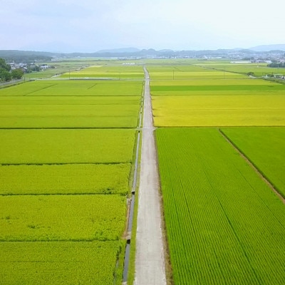 【数量限定】福岡県産ブレンド米「俺のめし!」18kg(4.5kg×4袋)