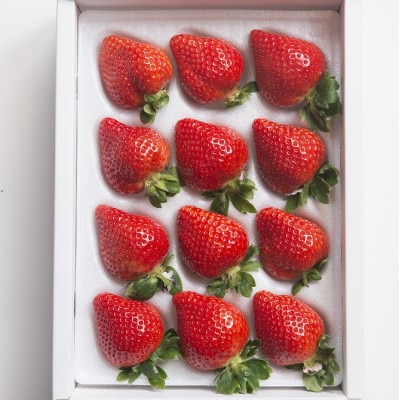 【11月下旬より順次発送】福岡産あまおうギフト(12-15粒)(岡垣町)【配送不可地域：離島】