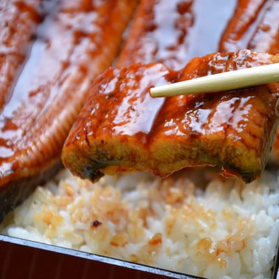 肉厚九州産うなぎ蒲焼2尾つゆだくタレ付 老舗鮮魚店秘伝の味(岡垣町)【配送不可地域：離島】