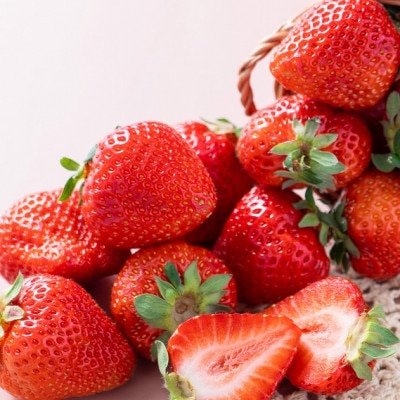 【2026年発送先行受付】フルーツソムリエが選んだ【春】あまおうDX(デラックス)4パック(岡垣町)【配送不可地域：離島】