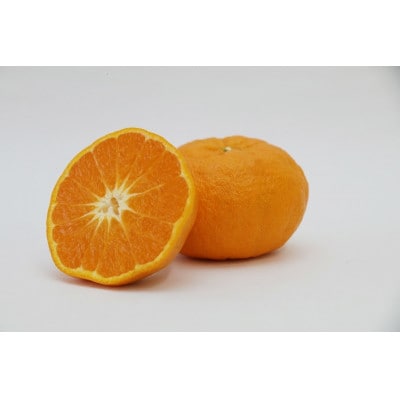 至極の蜜柑「西南のひかり」　14～16個