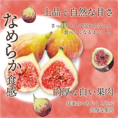 福岡県ブランドいちじく「博多とよみつひめ」4パック(約300g×4パック)(岡垣町)【配送不可地域：離島・北海道・沖縄県・東北】