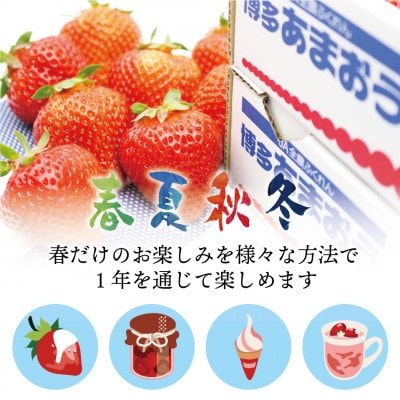 福岡県産冷凍あまおう4kg(800g×5袋)(岡垣町)【配送不可地域：離島】