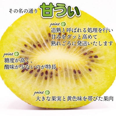 福岡県ブランドキウイフルーツ博多甘うぃ 約3.6kg(岡垣町)【配送不可地域：離島】