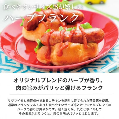 ぶどうの樹の自家製スモーク(6種)B＆オリジナル白ワインセット【配送不可地域：離島】