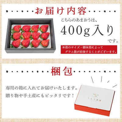 【先行受付】特選あまおう　400g(岡垣町)【配送不可地域：離島】