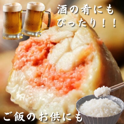 博多徳永 焼手羽明太(10本[5本×2P])(岡垣町)【配送不可地域：離島】