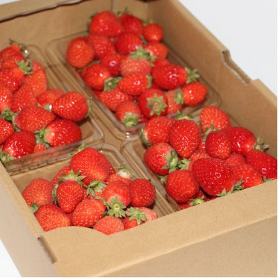 【2025年1月より順次発送予定】『訳あり』いちごの王様! あまおう小粒もりもり(4パック)　岡垣町【配送不可地域：離島】