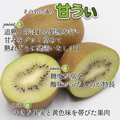 【2025年11月より順次発送】福岡県キウイフルーツ「博多甘うぃ」化粧箱 大玉9玉約1.4kg【配送不可地域：離島・北海道・沖縄県】