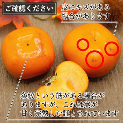 【2026年10月下旬～11月下旬発送】福岡県ブランド柿「秋王」約1.2kg 3Lサイズ4玉入り【配送不可地域：離島】