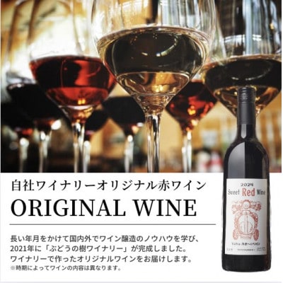 ぶどうの樹の自家製スモーク(6種)B＆自社醸造の赤ワインセット【配送不可地域：離島】