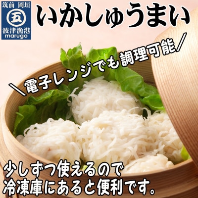 【発送月固定定期便】いかしゅうまい30個　ツヤツヤぷるるんっ。(岡垣町)全6回【配送不可地域：離島】