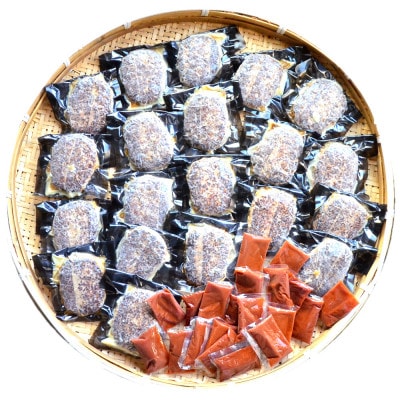 【発送月固定定期便】本格調理済ハンバーグ20食(ソース付き)(岡垣町)全6回【配送不可地域：離島】