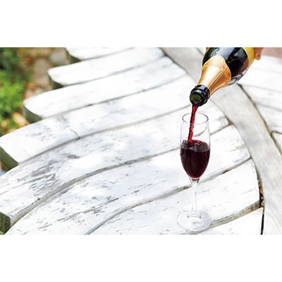 2023年4月発送開始『定期便』【全3回定期便】福岡県ぶどうの樹ワイナリーオリジナルワイン全3回