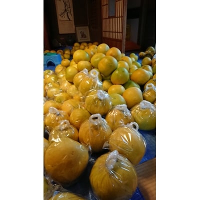 【訳あり】ご家庭用柑橘類みかん6kg～7kg入り