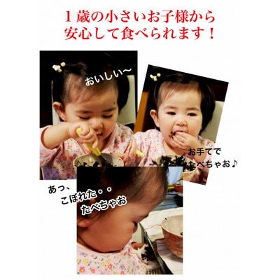 福岡県産有明のり　　海苔のふりかけ　10袋(岡垣町)