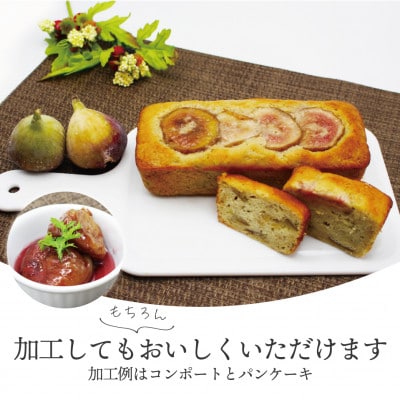 福岡県ブランドいちじく「博多とよみつひめ」4パック(約300g×4パック)(岡垣町)【配送不可地域：離島・北海道・沖縄県・東北】